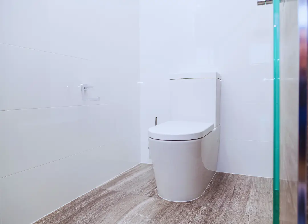 Remplacement de wc Villeneuve-Tolosane